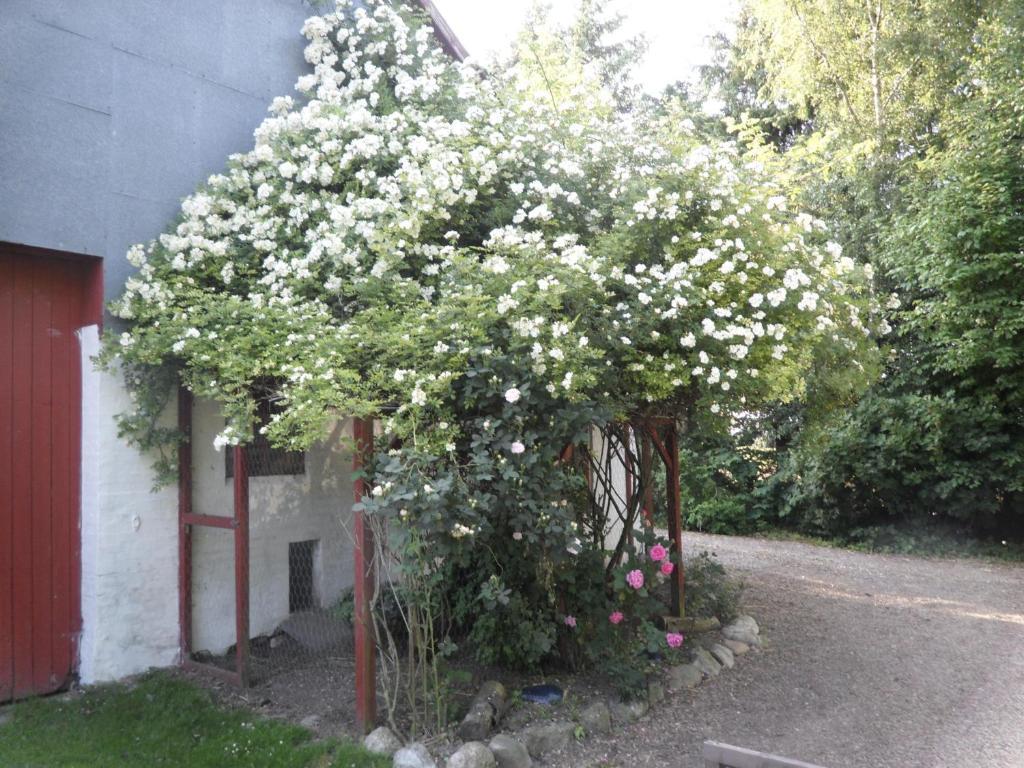 Lille Degnbol Villa Exterior foto